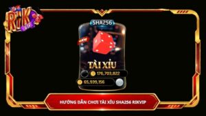 Hướng dẫn chơi Tài Xỉu SHA256 Rikvip